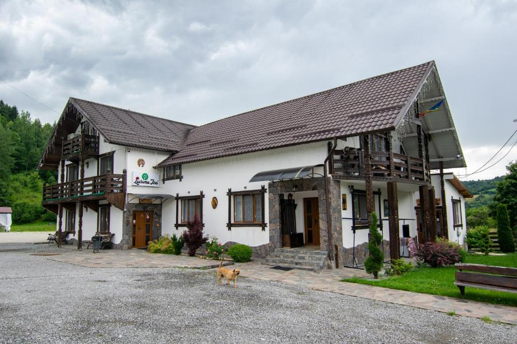Pensiunea Lacrima Izei, arhitectură tradițională maramureșeană, vedere de ansamblu